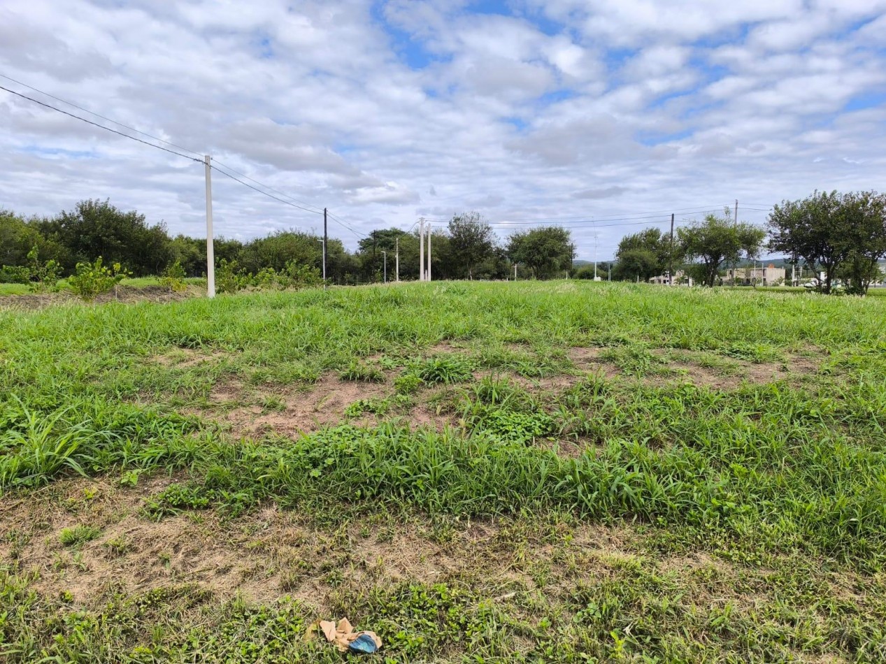 HERMOSO LOTE EN VENTA EN TEJAS CUATRO 477M2 SEGURIDAD 24HS 