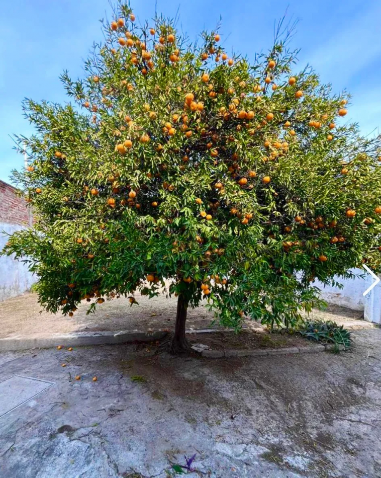 Casa en venta 3 dormitorios con patio y asador - B° Caceres - A metros de Guemes